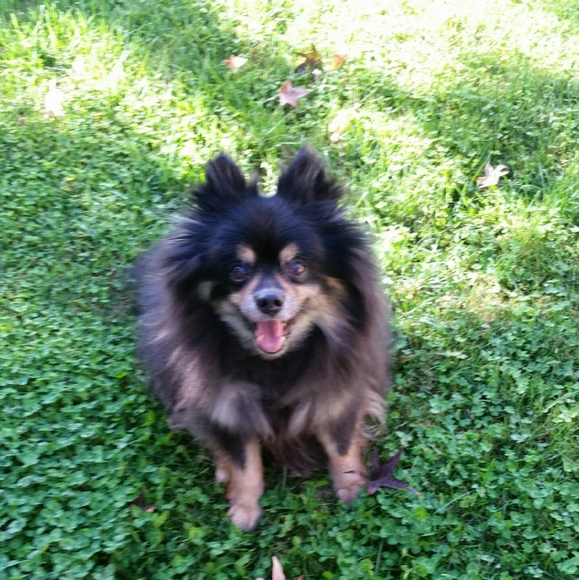 Meet your Posher, Shelly - Picture 4 of 6